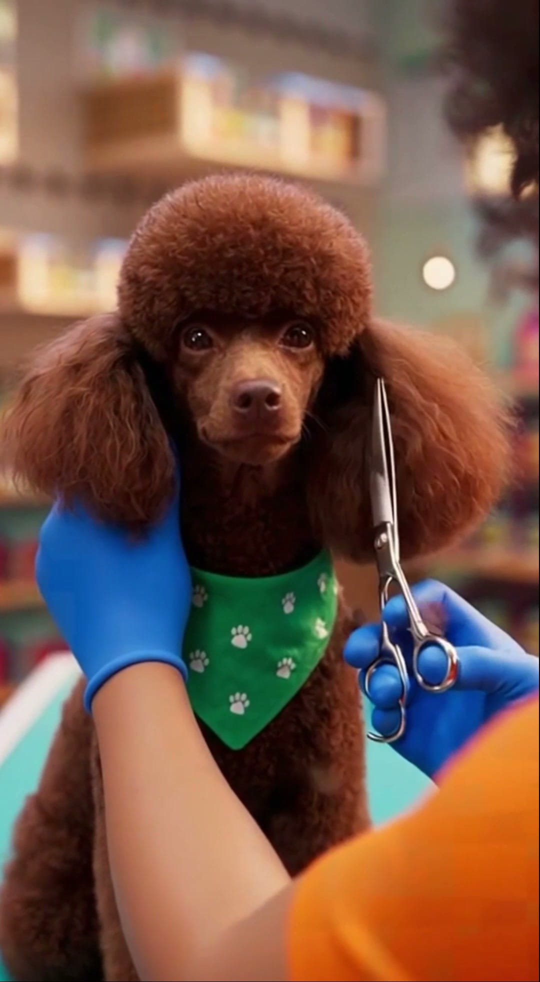 Pet Shop — Publicidade